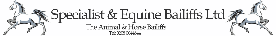 Specialist and Equine Bailiffs